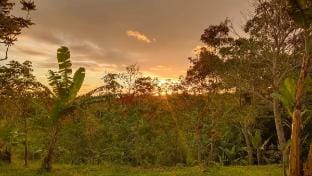 The Ridge Surf Lodge Vacation rental in Indonesia