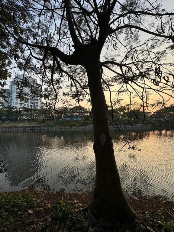 Lush Lakeside - Citra Luxury Apartments Hotel in Jakarta
