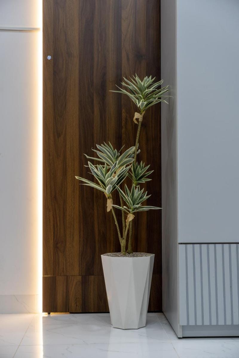 Nhà Sài Gòn Apartment in Ho Chi Minh City