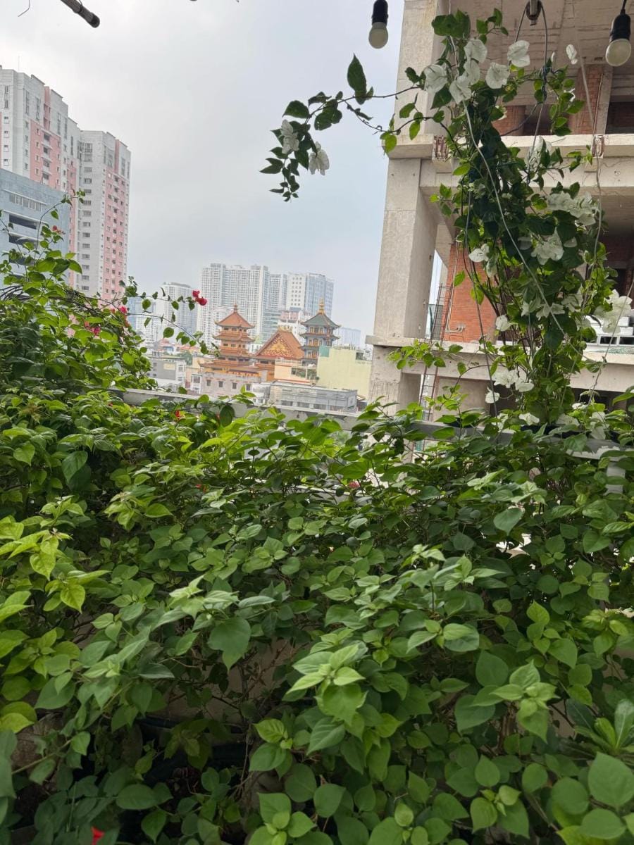 Vũ Bình homestay Vacation rental in Ho Chi Minh City
