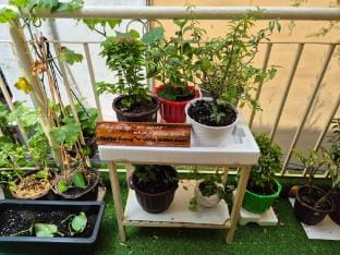 SÀI GÒN HOMESTAY MI Vacation rental in Ho Chi Minh City