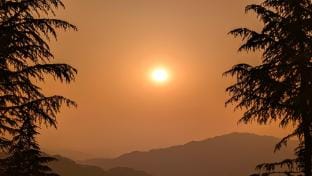 Sevam farms hosted by xanadu  Vacation rental in Himachal Pradesh