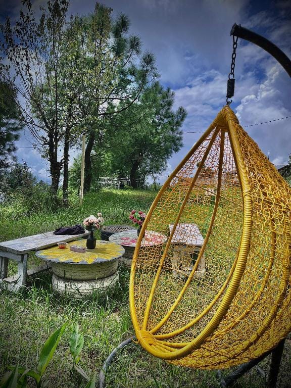 Vibe Hostel  An Off-Beat Paradise Hotel in Punjab, India