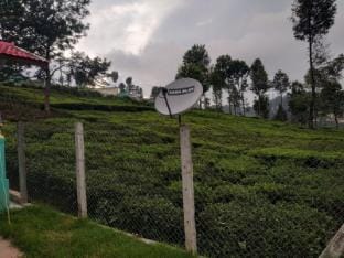 green pleasant stay Villa in Kerala