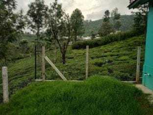 green pleasant stay Villa in Kerala