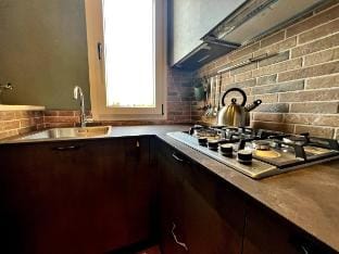 HomingPisa - Gemini Two - NEW (900 Reviews) Apartment in Pisa