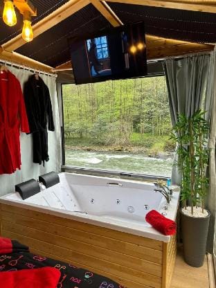 Tiny House 202 Vacation rental in Georgia
