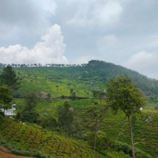 Nest Valley Kotagiri  Vacation rental in Ooty
