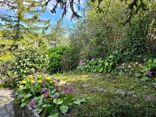 Maison en pierre de taille: jardin et vue montagne Vacation rental in French Riviera