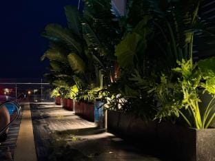 Sophia Center Apartment - The Duke Home Apartment in Kien Giang