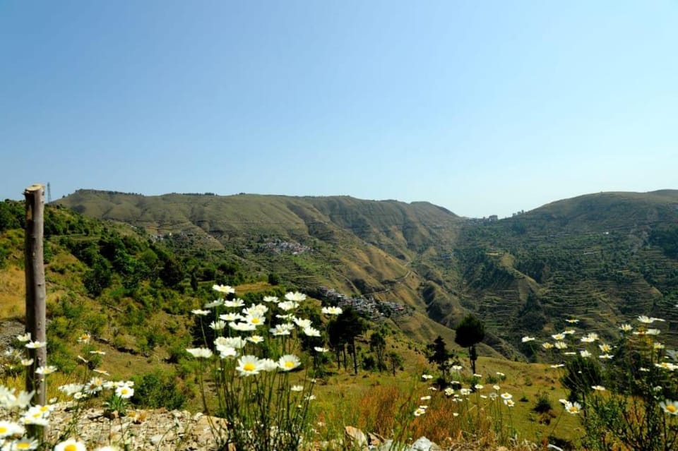 Chakrata Pacific Resort & Spa Apartment in Uttarakhand