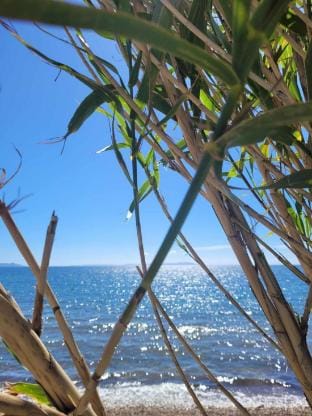 Charming mobil-home at 200 m from beach Vacation rental in Hyères