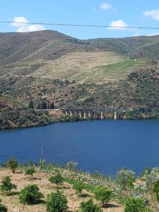 Douro 3 Bedrooms Magic Mountain Landscape Apartment in Portugal