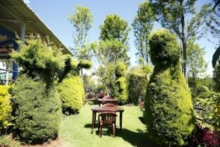 Nest Valley Kotagiri Vacation rental in Ooty