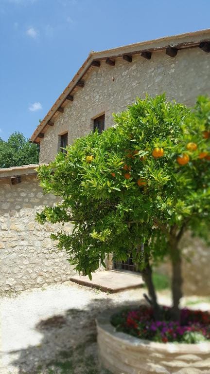 Agriturismo Il Merangolo Farm Stay in Umbria
