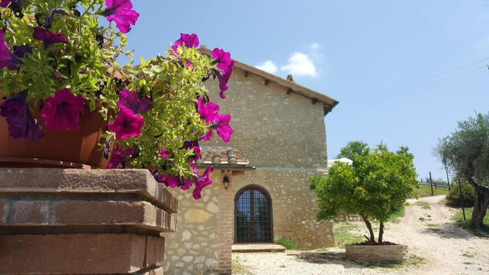 Agriturismo Il Merangolo Farm Stay in Umbria