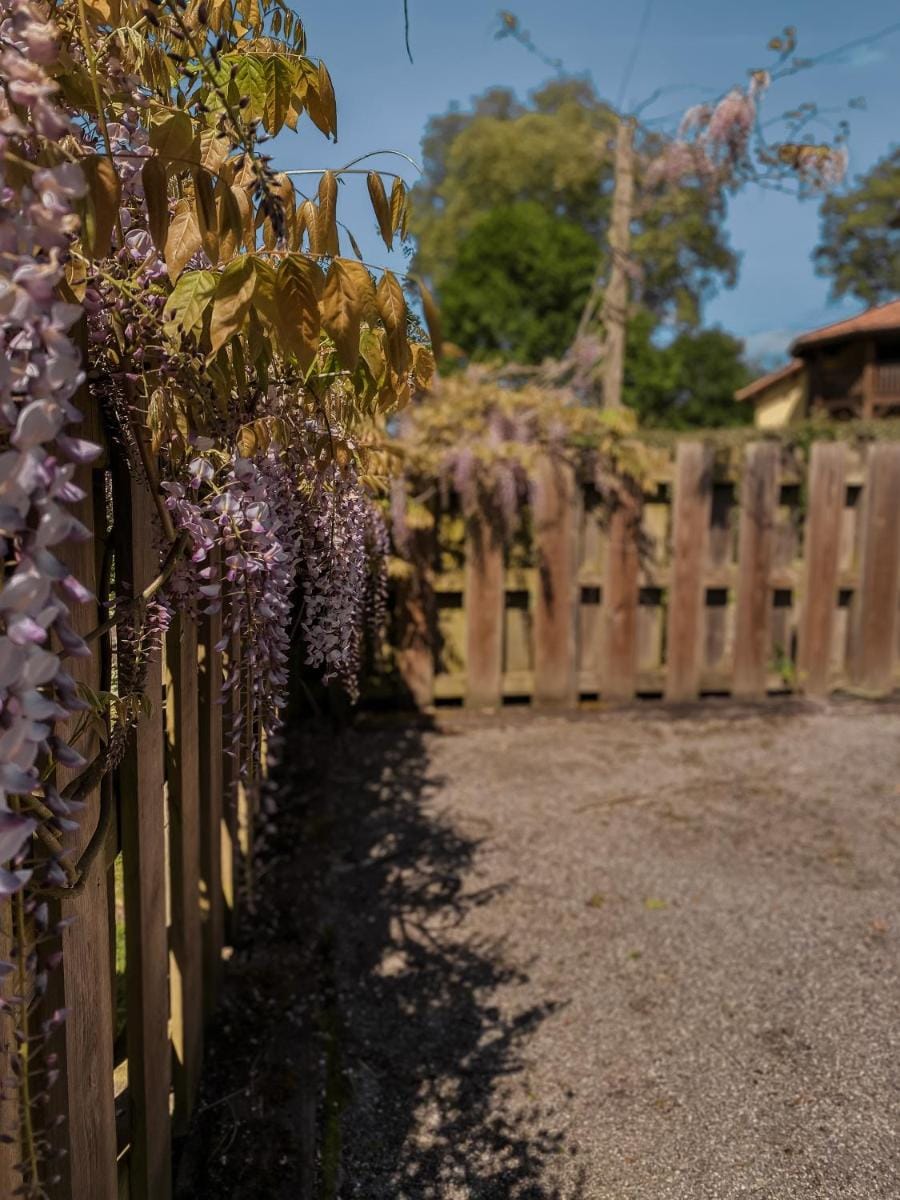 Locarmel Vacation rental in Nouvelle-Aquitaine
