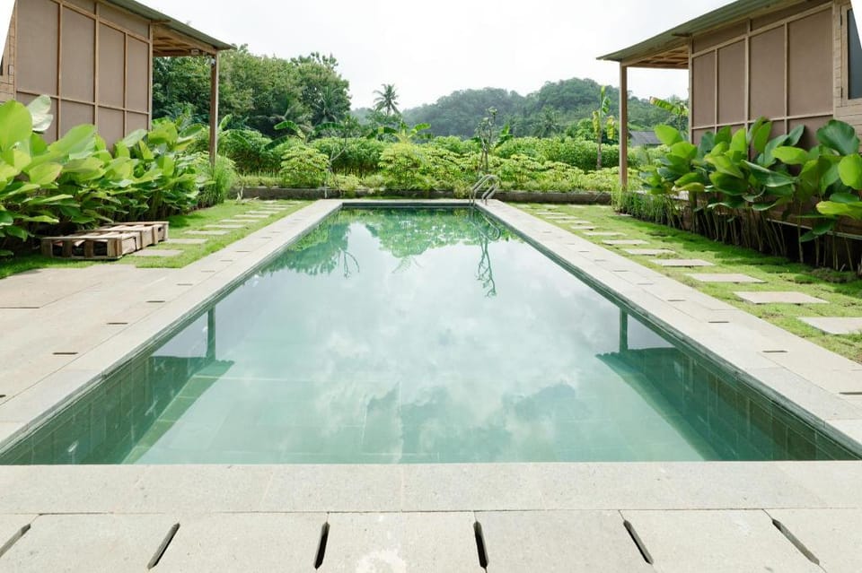 Terra Clementia Bed and Breakfast in East Java