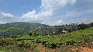 Jill villa Vacation rental in Kerala