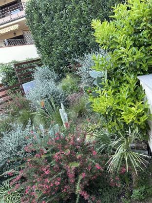 Toscana . Porto Ercole Apartment in Porto Ercole