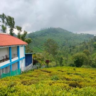 Nest Valley Kotagiri Farm Stay in Kerala