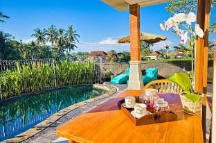 Cozy 1 Br Villa with Pool & Rice Fields view Ubud Villa in Payangan