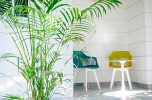 Bohemian beach house near Alleppey Beach Vacation rental in Alappuzha