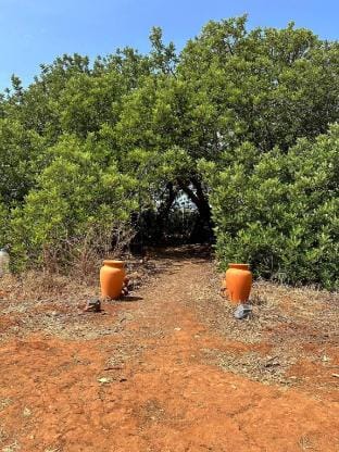 Michas caravan for 2 See the herd of horses from your bed Vacation rental in Faro District