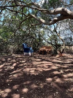 Michas caravan for 2 See the herd of horses from your bed Vacation rental in Faro District