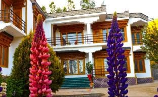 5 mins drive from the main market/ Garden /Yoga Vacation rental in India