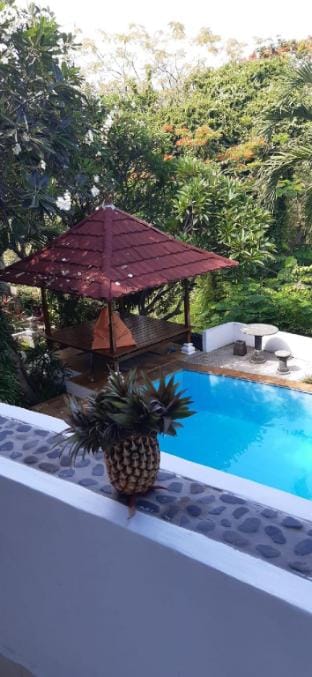 Walking Distance to Lovina Beach Vacation rental in Bali