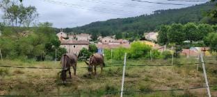 80 m2 in the Cevennes Vacation rental in Auvergne-Rhône-Alpes
