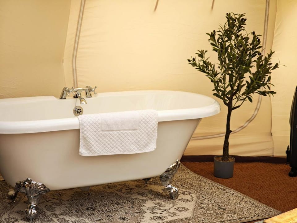Stargazers Luxury tent in North Norfolk District