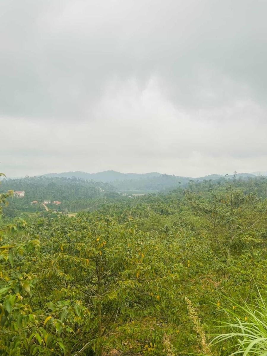 Malnad Hills Brew Vacation rental in Karnataka