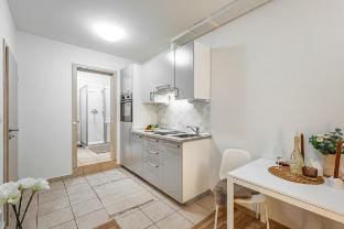 Apartment 101 Vacation rental in Saxony