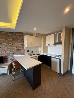 Hotel Comfortable Spacious 1+1 Apartment Vacation rental in Ankara