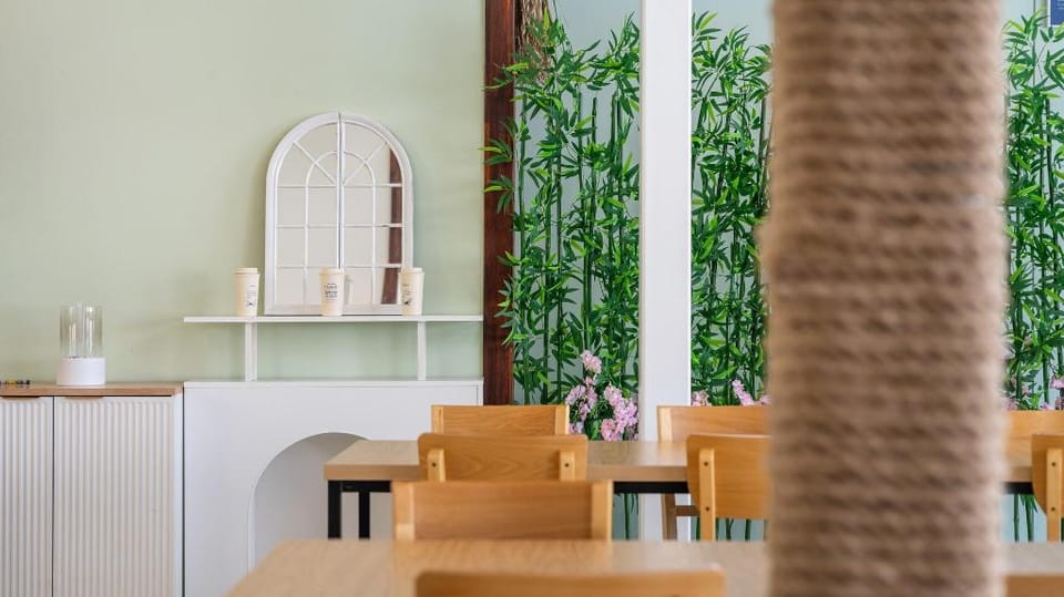 Gangneung Stay Shod Pension Bed and Breakfast in South Korea