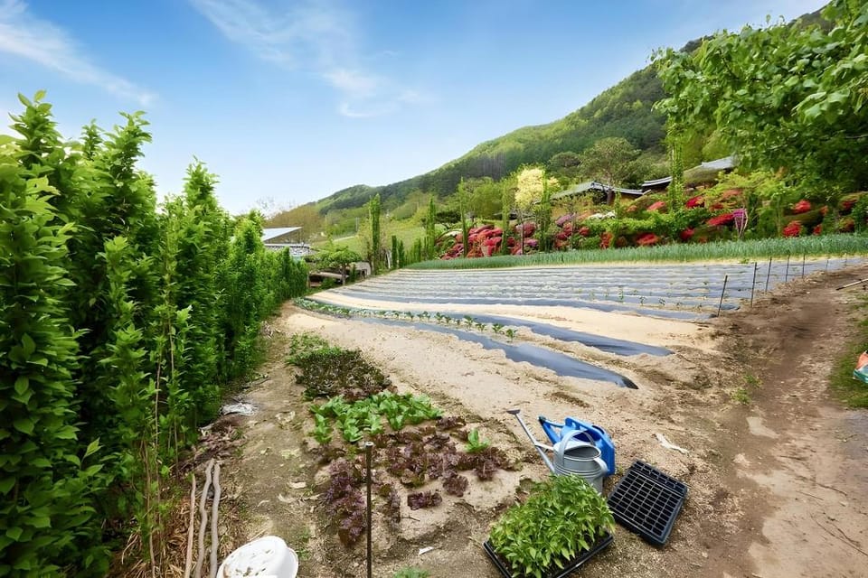 Bonghwa Power Plant Guesthouse Bed and Breakfast in South Korea