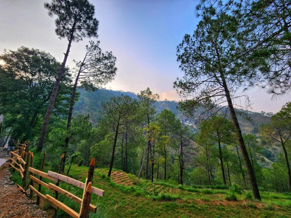 Musical Paradise Kasauli Vacation rental in Himachal Pradesh
