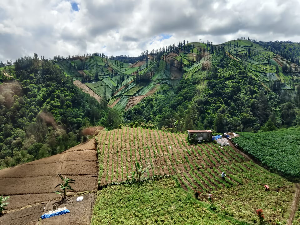 Manglung Homestay Hotel in East Java