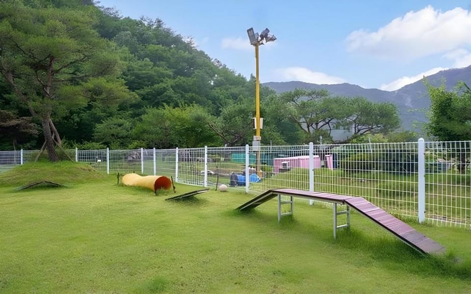 Muju Inca Dog Pension Bed and Breakfast in South Korea