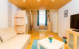 Ramen apartment-real comfort in the fizzy downtown Vacation rental in Budapest