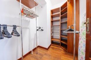 003 Naruszewicza 13 ROOM Apartment in Poland
