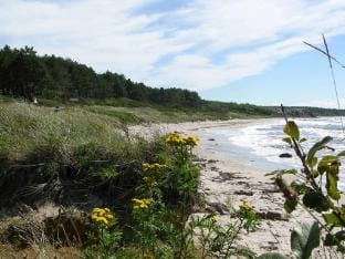 Seaside Panorama in Hasle - By Traum Ferienwohnungen Vacation rental in Bornholm