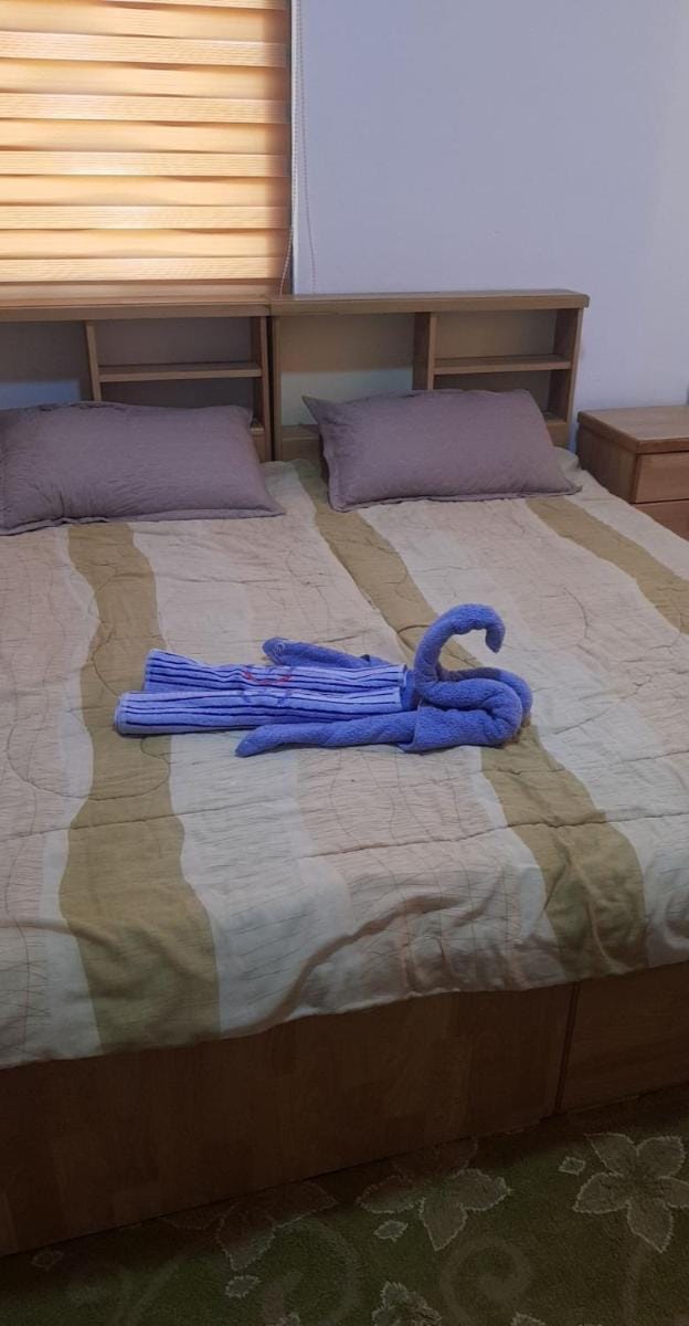Zragat motel Apartment in Africa
