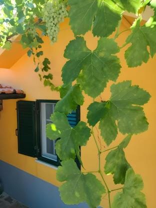 Quinta de Canelas Vacation rental in Castile and León