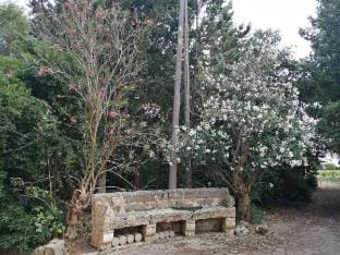 Relaxation and authenticity in a unique setting Apartment in Apulia