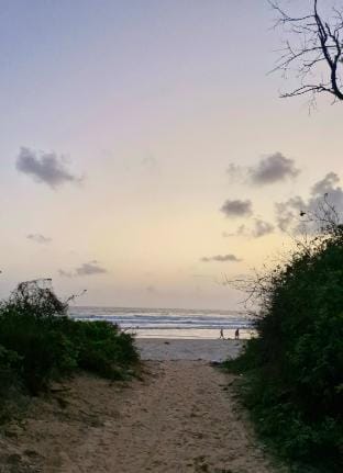 Cozy Cabana - Asian Paradise Vacation rental in Goa, India
