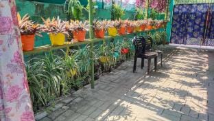 Green View Homestay Vacation rental in West Bengal