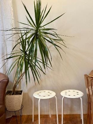 The 19th Transient House in Solano 2BR with Ktchen Vacation rental in Cordillera Administrative Region